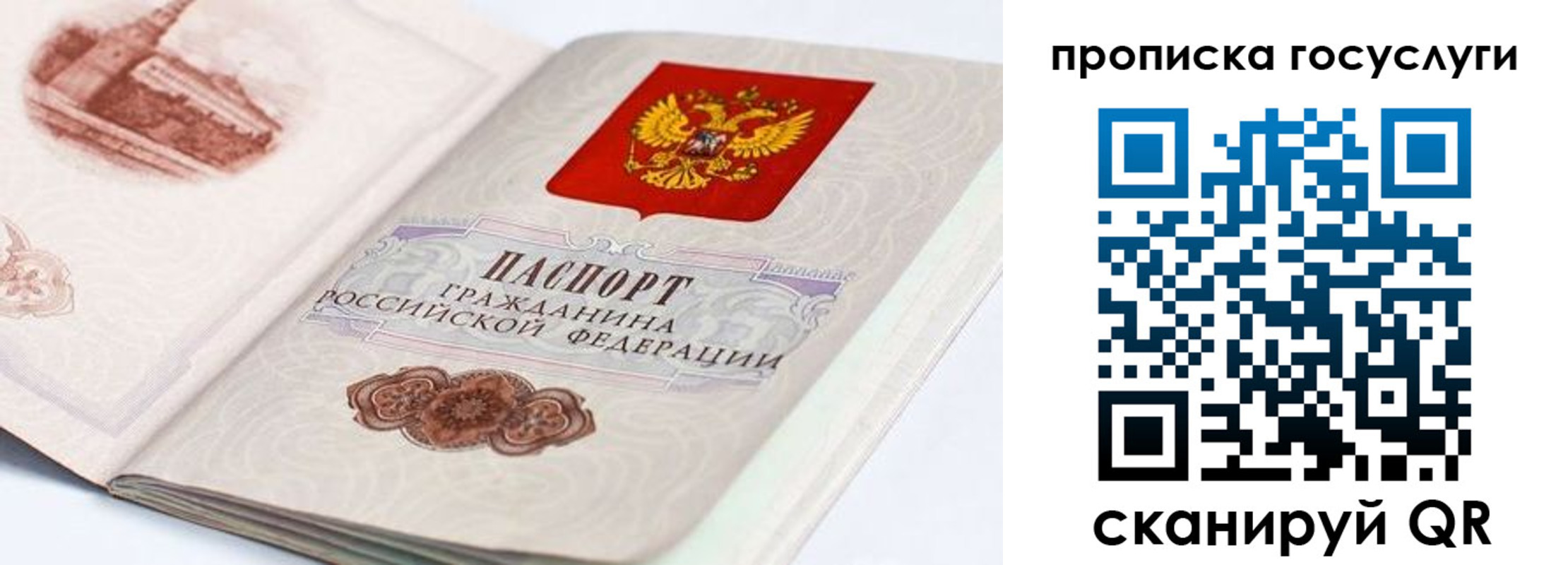 прописка гарантия в Шатуре